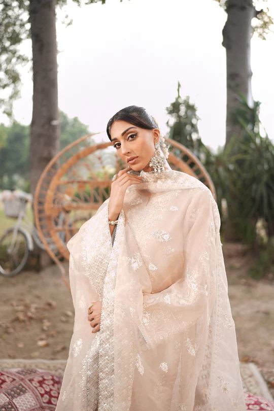 Organza Embroidered-Suit